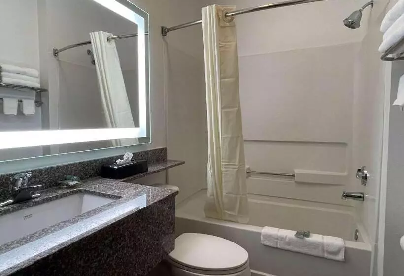 キングサイズベッドのスイートルーム, Best Western Roanoke Inn & Suites