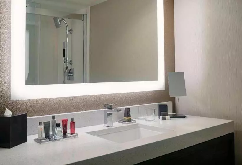 キングサイズベッドのスタンダードルーム, Chicago Marriott Southwest At Burr Ridge