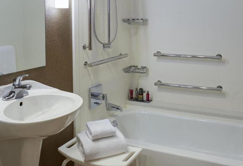 اتاق استاندارد با تخت بزرگ, Chicago Marriott Southwest At Burr Ridge