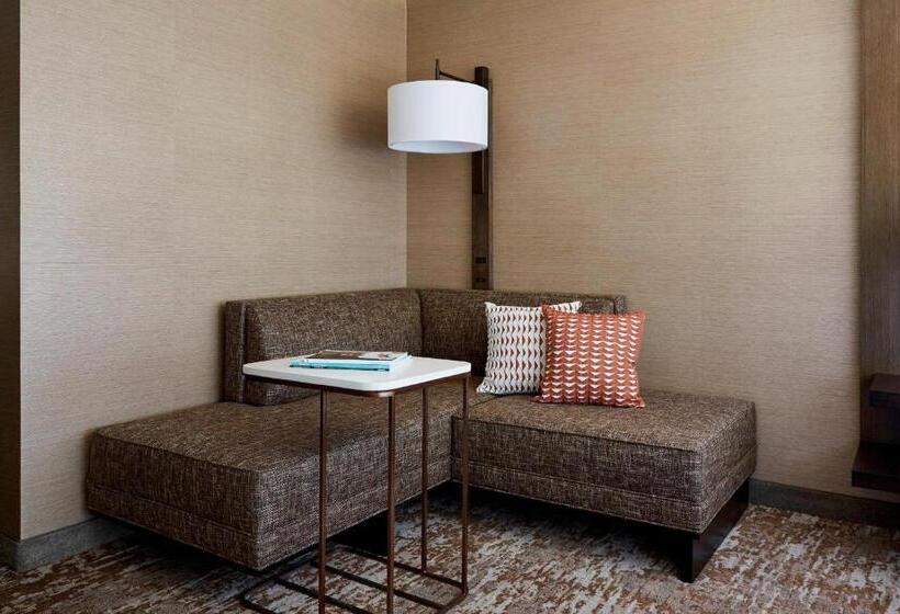 اتاق استاندارد با تخت بزرگ, Chicago Marriott Southwest At Burr Ridge