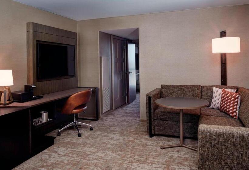 سوئیت با تخت بزرگ, Chicago Marriott Southwest At Burr Ridge