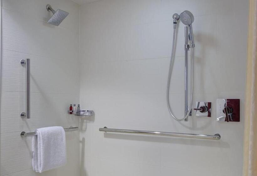 Suite King Size Seng, Chicago Marriott Southwest At Burr Ridge