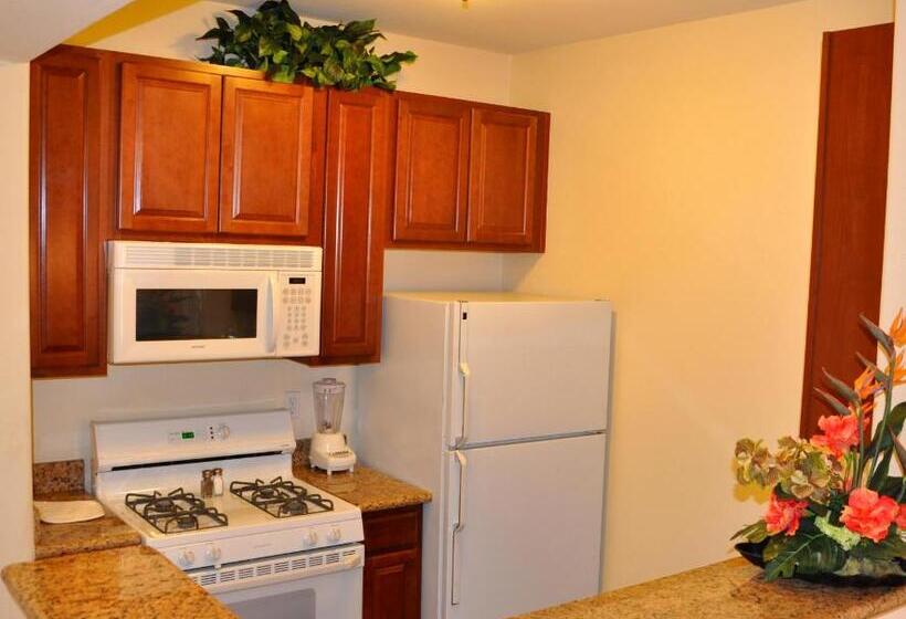 スイート, Club De Soleil Allsuite Resort