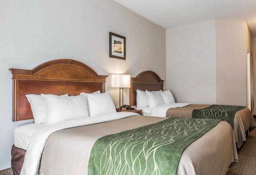 غرفه قياسيه سريرين مزدوجين, Comfort Inn & Suites