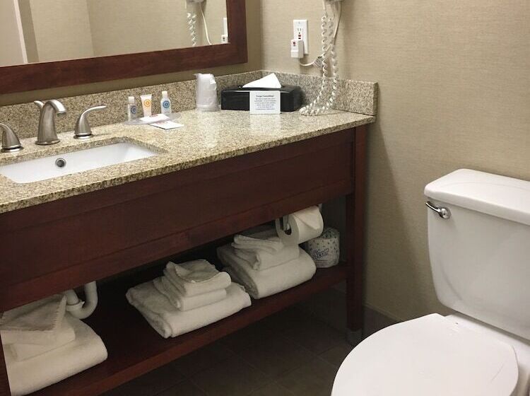 غرفه قياسيه سريرين مزدوجين, Comfort Inn & Suites