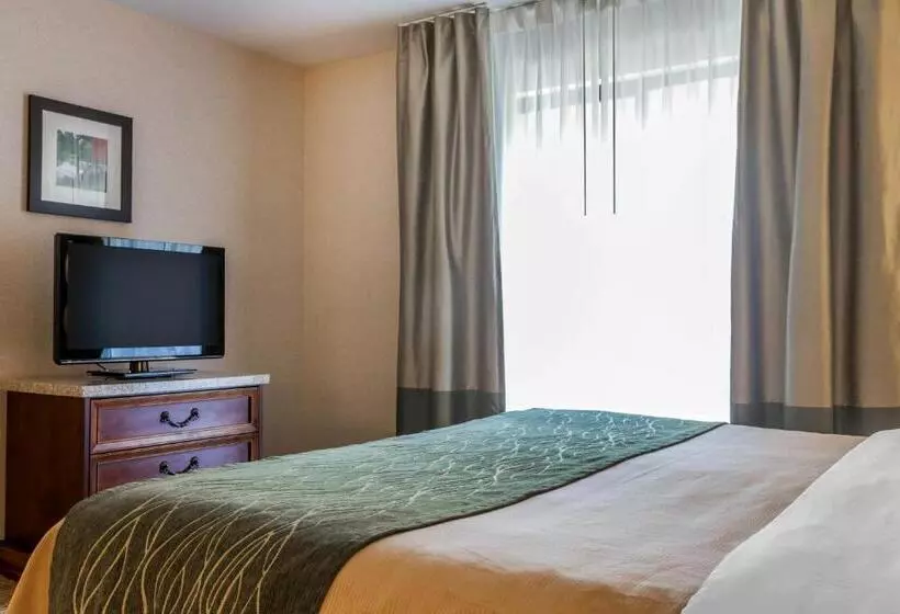 キングサイズベッドのスタンダードルーム, Comfort Inn & Suites South Burlington Near University