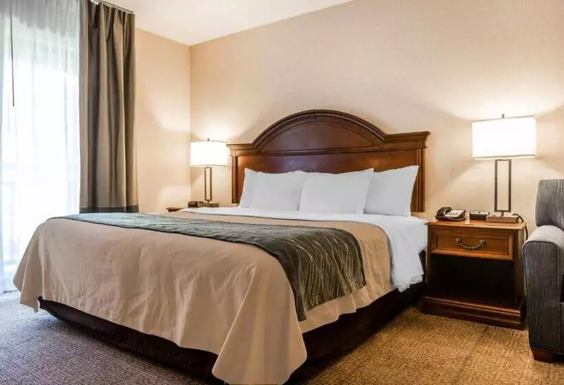 キングサイズベッドのスタンダードルーム, Comfort Inn & Suites South Burlington Near University