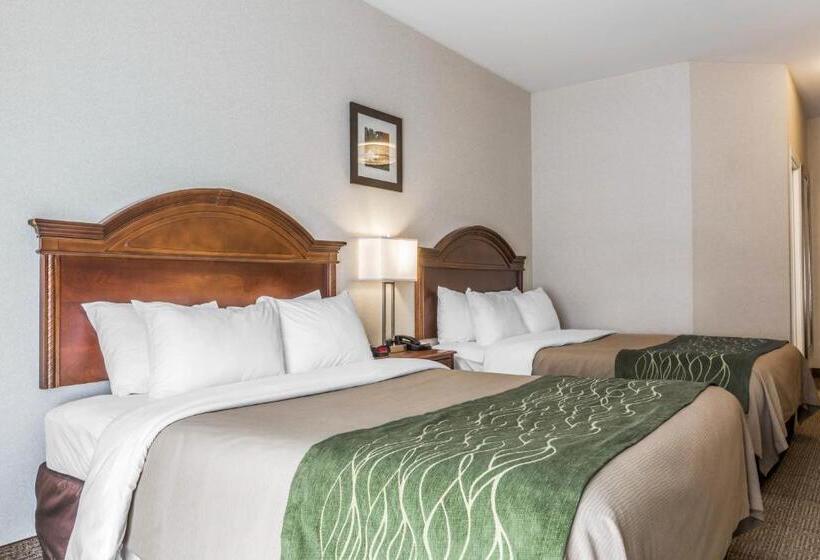 غرفه قياسيه سريرين مزدوجين, Comfort Inn & Suites