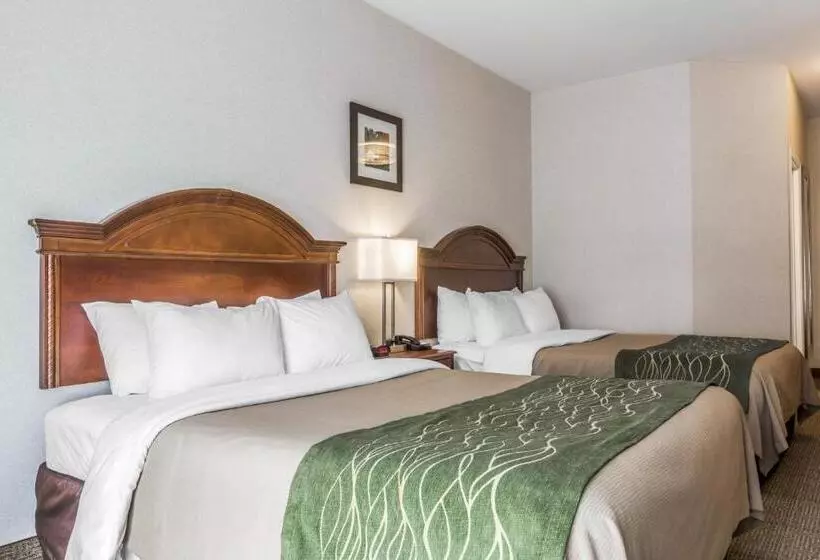 ２ダブルベッドのスタンダードルーム, Comfort Inn & Suites South Burlington Near University