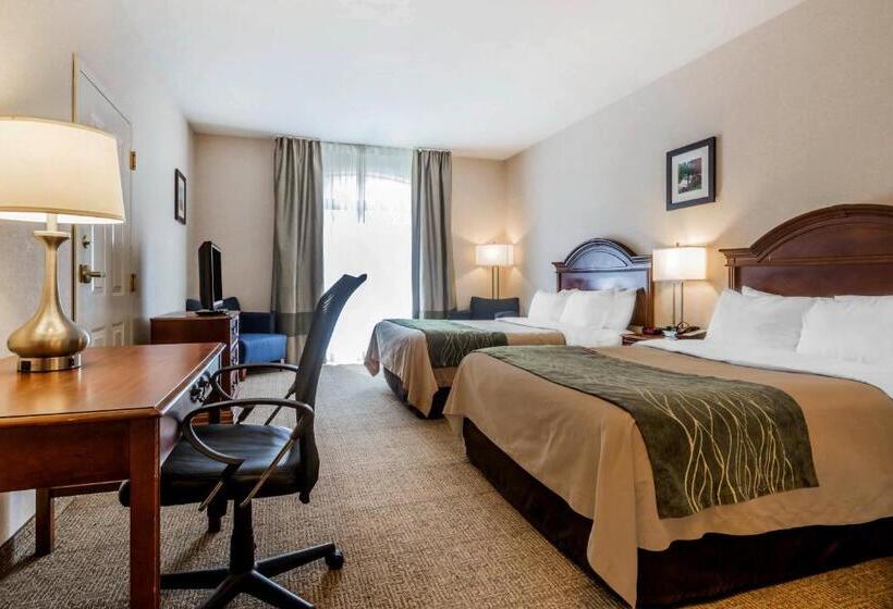 غرفه قياسيه سريرين مزدوجين, Comfort Inn & Suites