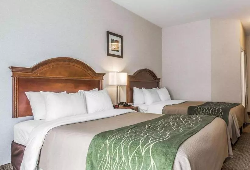 身障者適用スタンダードルーム, Comfort Inn & Suites South Burlington Near University