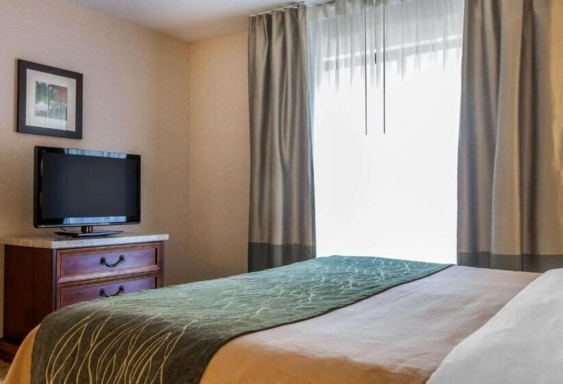 غرفة قياسية سرير كينج لذوى الإحتياجات الخاصة, Comfort Inn & Suites