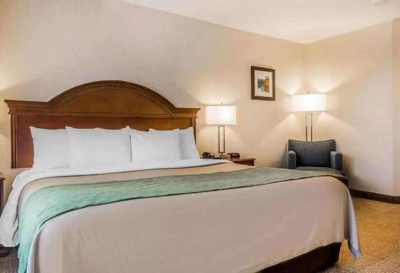 身障者適用キングサイズベッドルーム, Comfort Inn & Suites South Burlington Near University