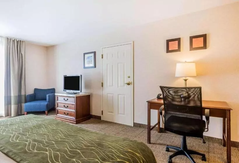 身障者適用キングサイズベッドルーム, Comfort Inn & Suites South Burlington Near University