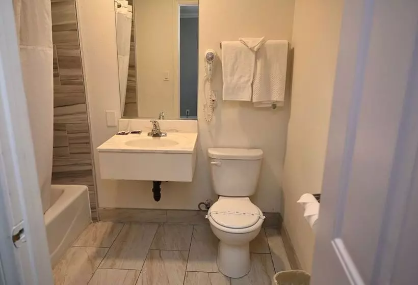 اتاق استاندارد با 2 تخت دوبل, Hollywood Stars Inn
