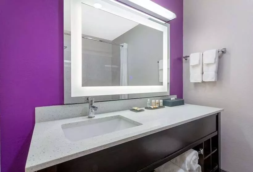 ２ダブルベッドのスタンダードルーム, La Quinta By Wyndham Tampa Bay Area Tampa South