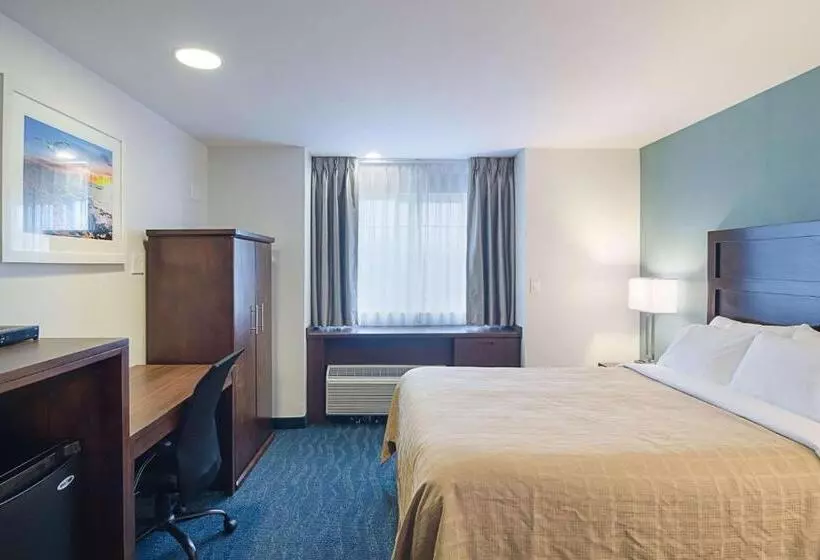 اتاق استاندارد با تخت بزرگ, Quality Inn