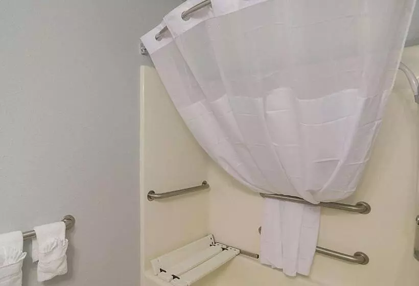 اتاق استاندارد با تخت بزرگ برای معلولان, Quality Inn