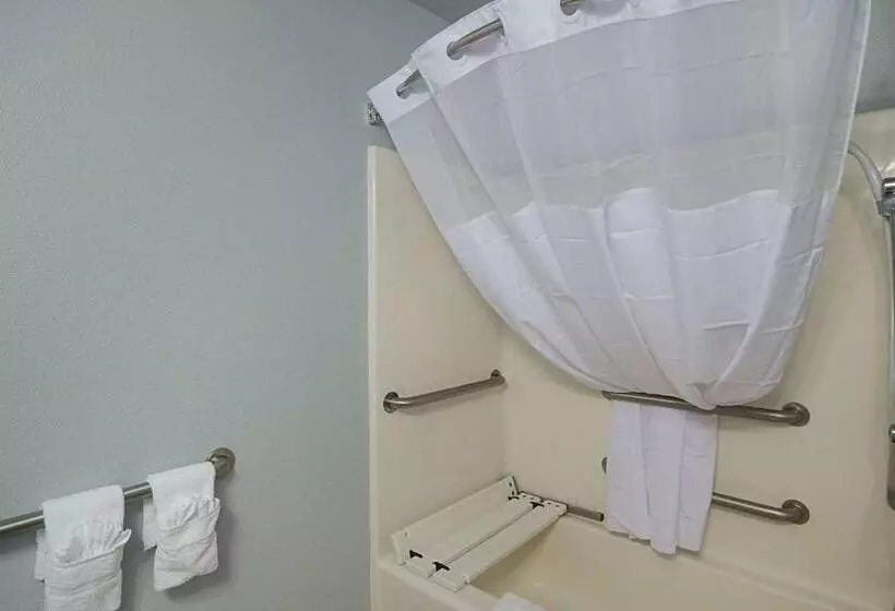 اتاق استاندارد با تخت بزرگ برای معلولان, Quality Inn