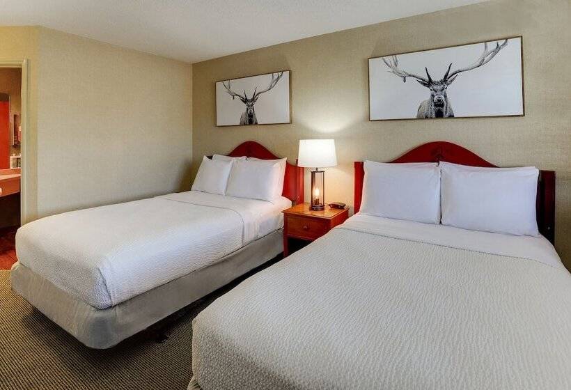 디럭스 룸, Stoney Creek Lnn Galena