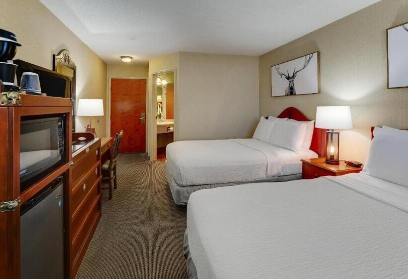 디럭스 룸, Stoney Creek Lnn Galena