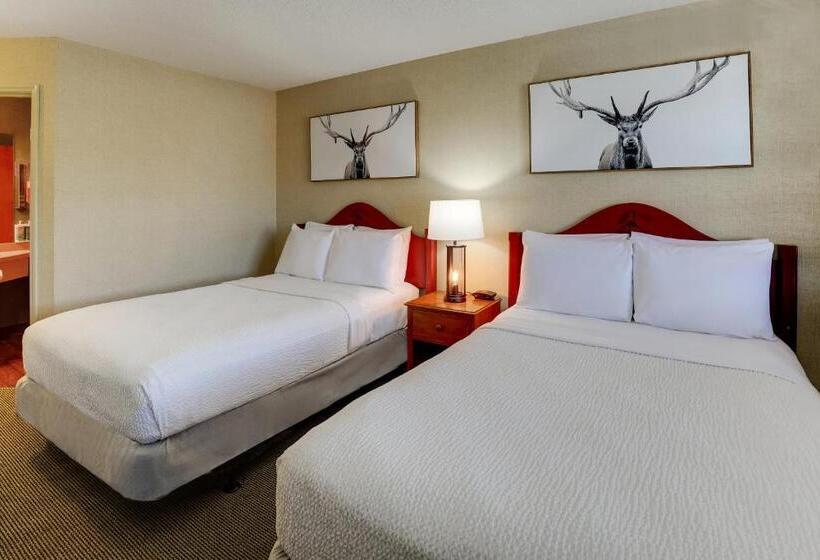 豪华房间, Stoney Creek Lnn Galena