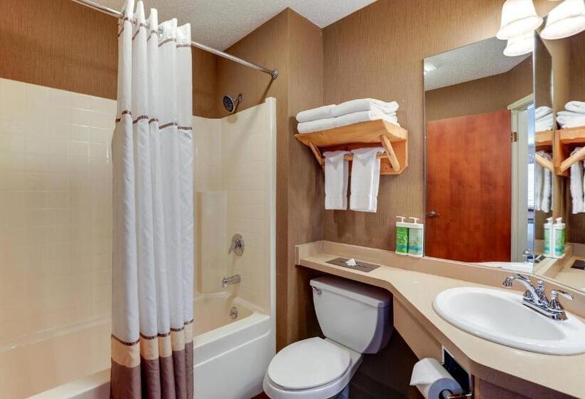 스탠다드 룸 킹사이즈 침대, Stoney Creek Lnn Galena