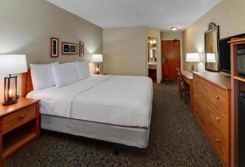 스탠다드 룸 킹사이즈 침대, Stoney Creek Lnn Galena