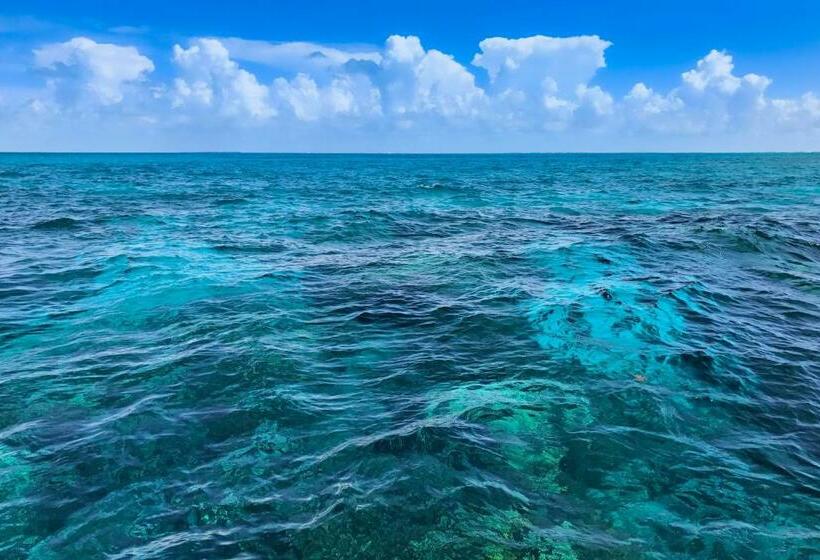 דירת שני חדרים, Sunrise Suites