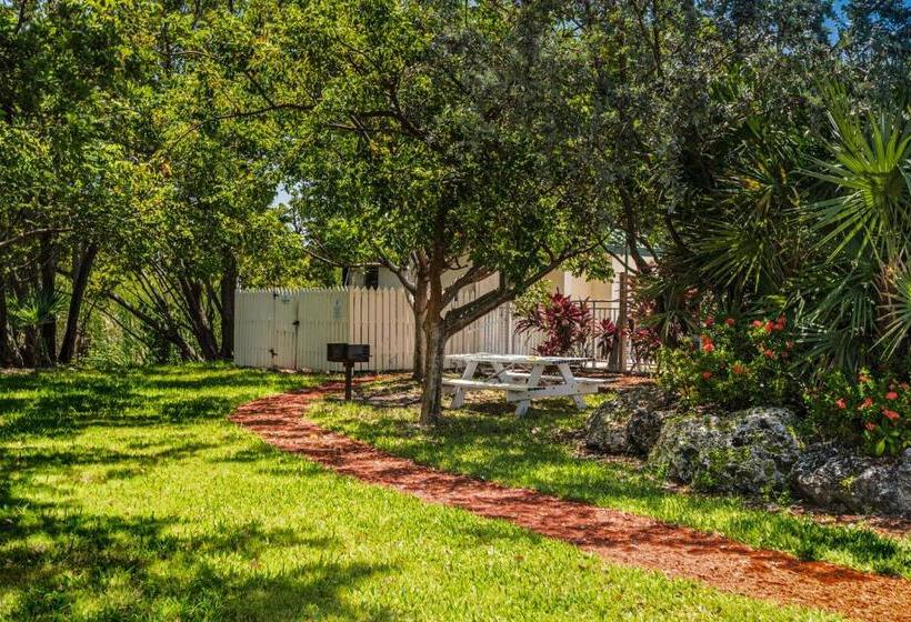 דירת שני חדרים, Sunrise Suites