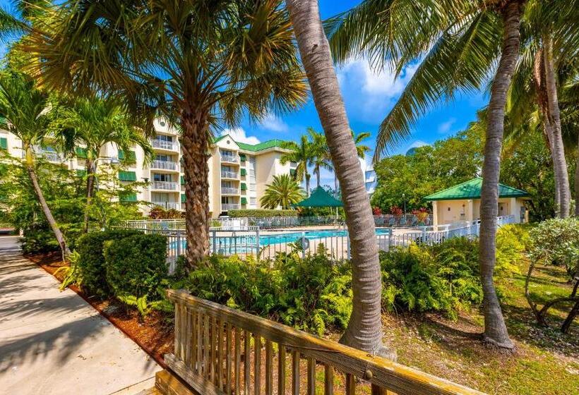 דירת שני חדרים, Sunrise Suites