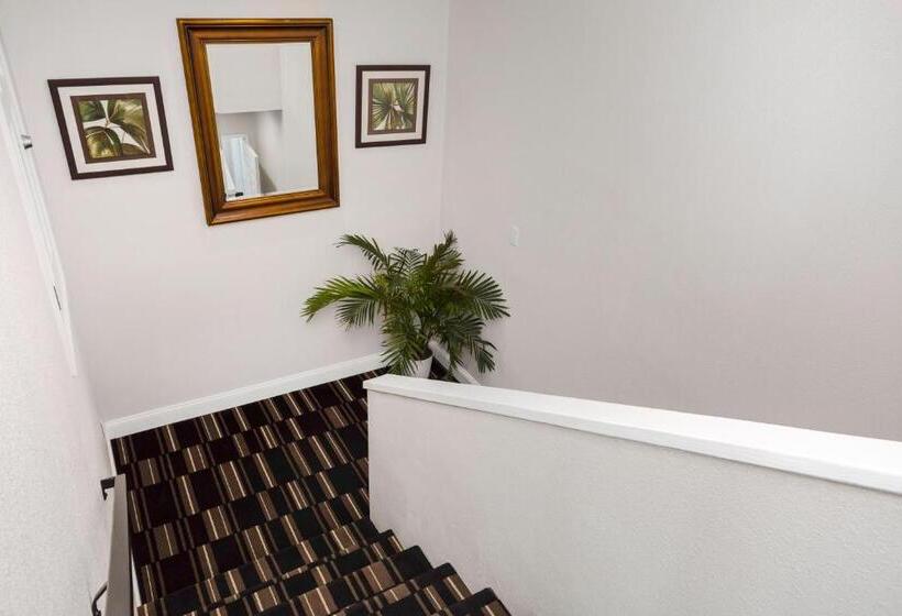 جناح سرير كينج, The Hotel Oceanside