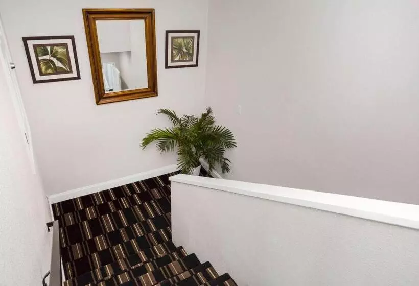 سوئیت با تخت بزرگ, The Hotel Oceanside