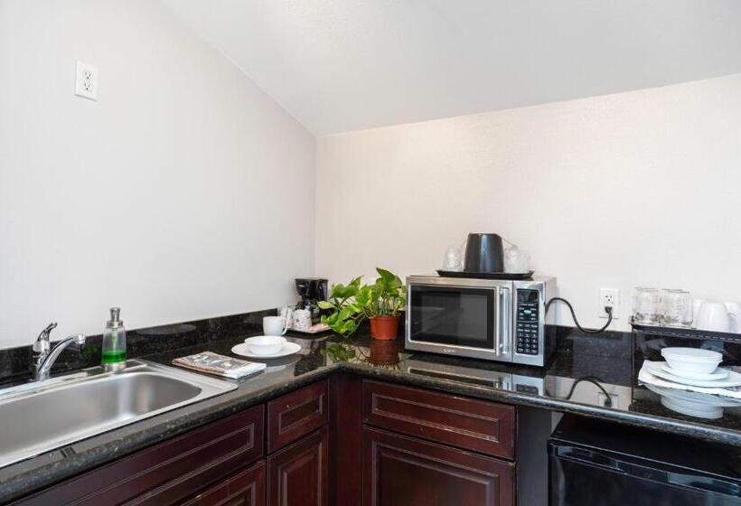 جناح سرير كينج, The Hotel Oceanside