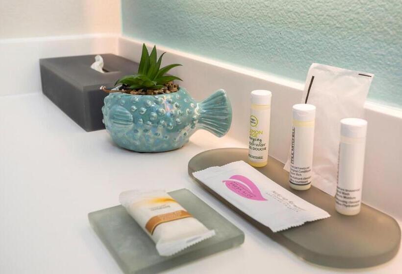 غرفة قياسية سرير كينج لذوى الإحتياجات الخاصة, The Hotel Oceanside