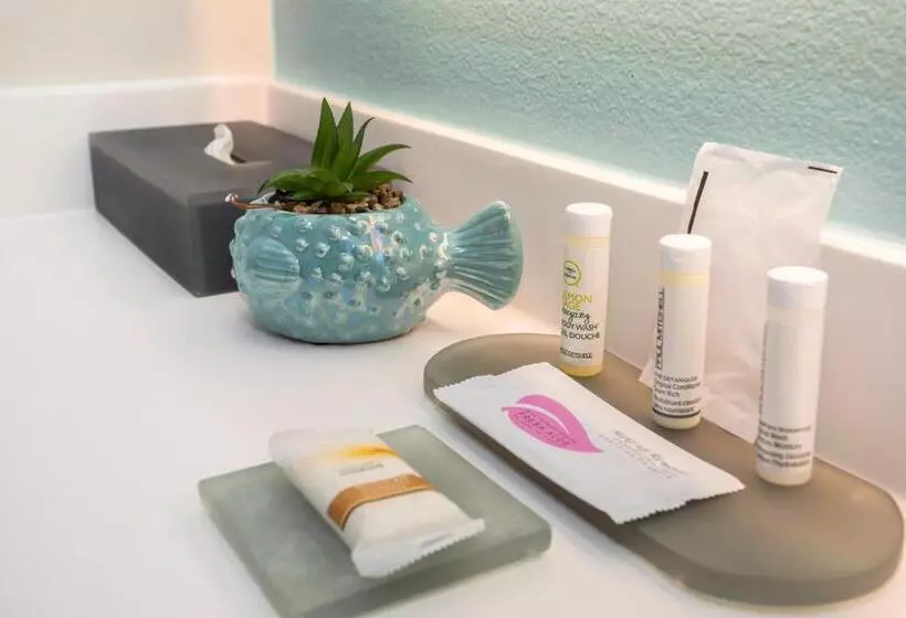 اتاق استاندارد با تخت بزرگ برای معلولان, The Hotel Oceanside