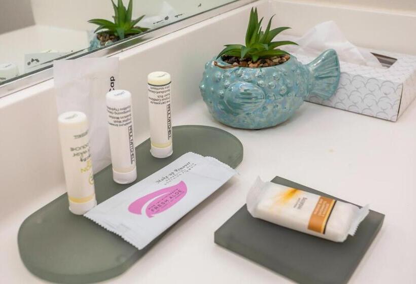 غرفة قياسية سرير كينج لذوى الإحتياجات الخاصة, The Hotel Oceanside