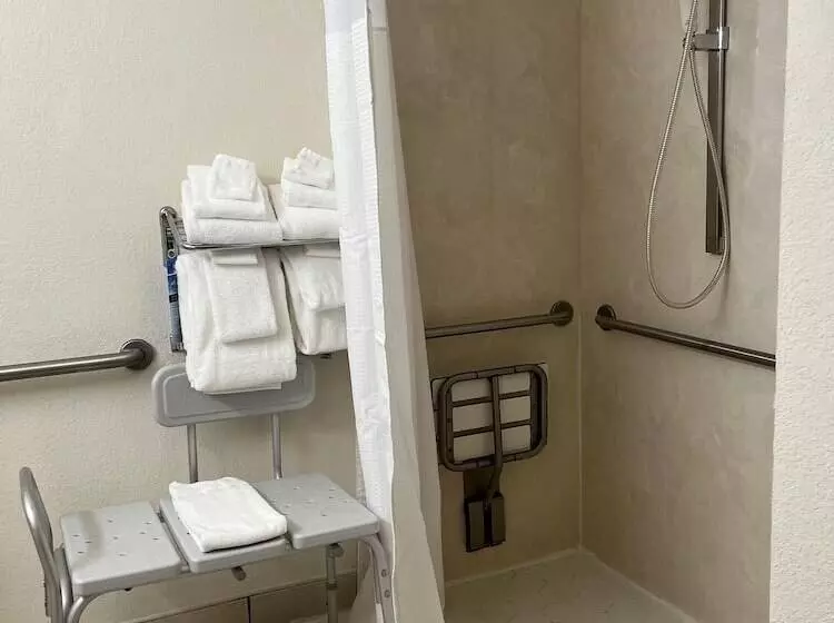 スタンダードルーム, Microtel Inn And Suites By Wyndham   Lady Lake/ The Villages