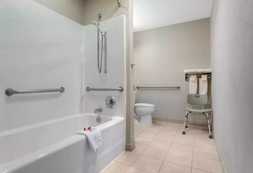 身障者適用スイートルーム, Microtel Inn & Suites By Wyndham Philadelphia Airport