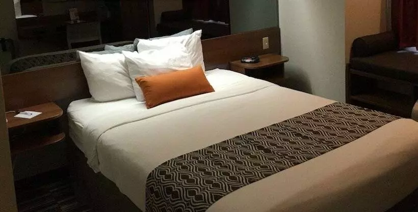 身障者適用スイートルーム, Microtel Inn & Suites By Wyndham Philadelphia Airport