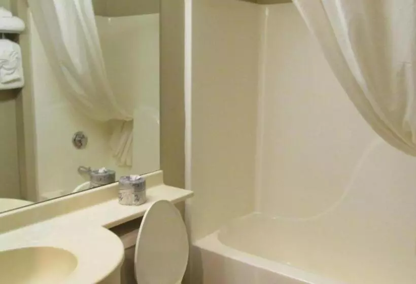 スタンダードルーム, Microtel Inn & Suites By Wyndham Rapid City