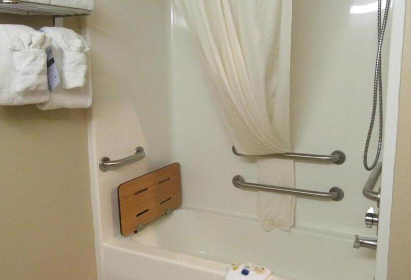 غرفة قياسية لذوى الاحتياجات الخاصة, Microtel Inn & Suites By Wyndham Rapid City