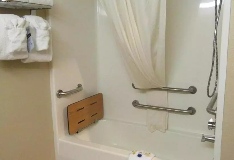 身障者適用スタンダードルーム, Microtel Inn & Suites By Wyndham Rapid City