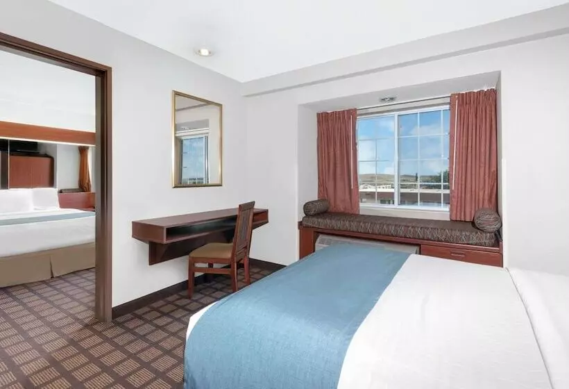 身障者適用スタンダードルーム, Microtel Inn & Suites By Wyndham Rapid City