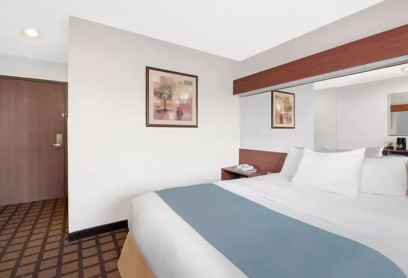 身障者適用スタンダードルーム, Microtel Inn & Suites By Wyndham Rapid City