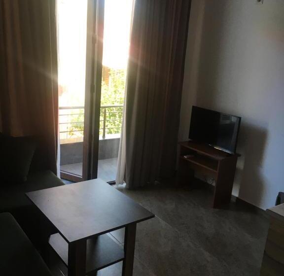 آپارتمان 1 خوابه با بالکن, Aparthotel Family