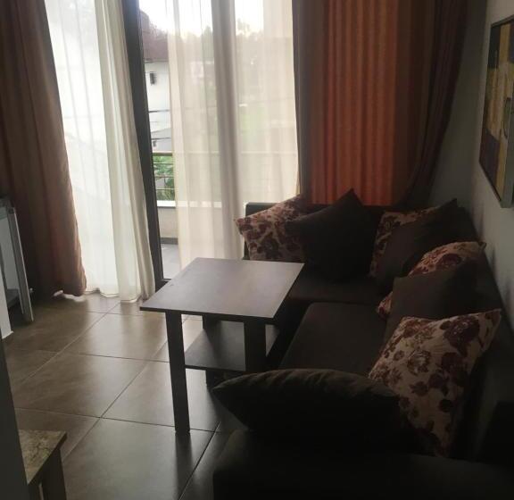 آپارتمان 1 خوابه با تراس, Aparthotel Family