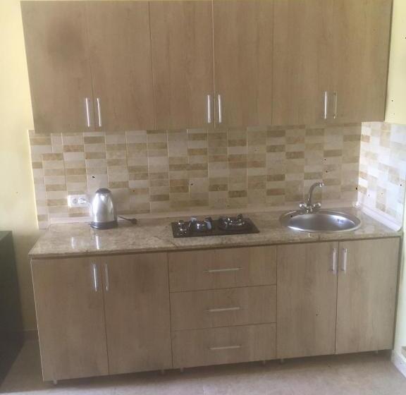 آپارتمان 1 خوابه با بالکن, Aparthotel Family