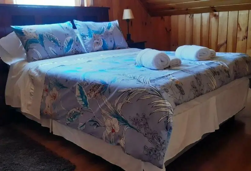 エコノミールーム, Casa Tregül B&b