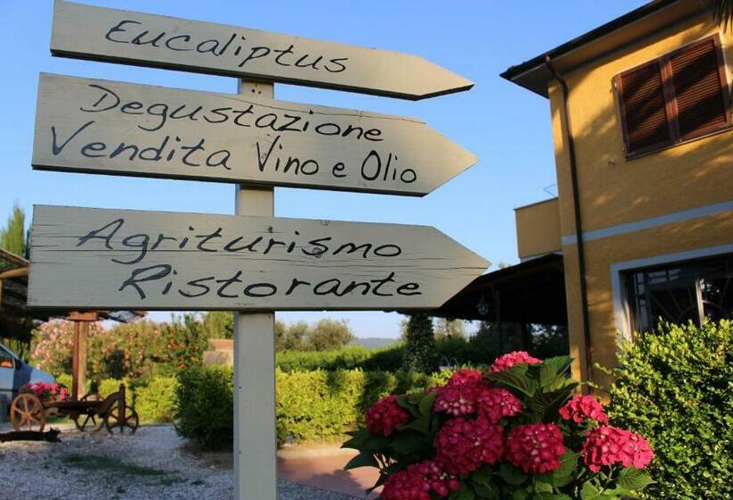 Трехместный Номер Deluxe, Agriturismo Eucaliptus